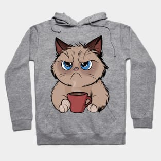 Cat Needs Coffee Hoodie